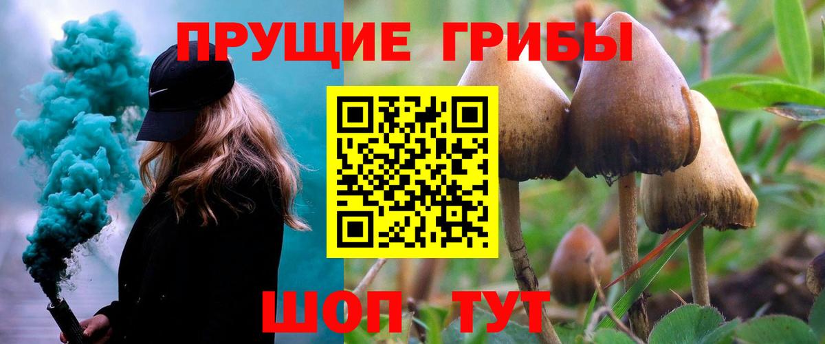 Галлюциногенные грибы GOLDEN TEACHER  Вход с VPN  Батайск 